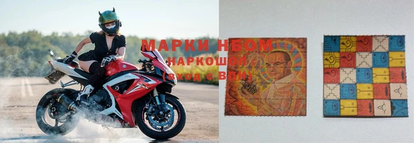 герыч Каменногорск
