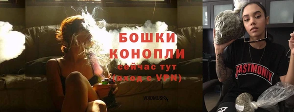 стафф Каменск-Шахтинский