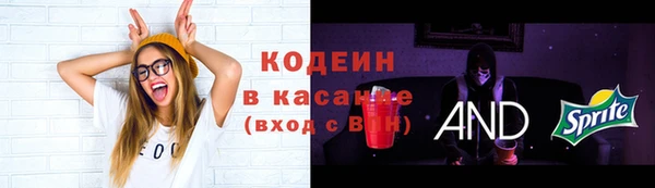 герыч Каменногорск