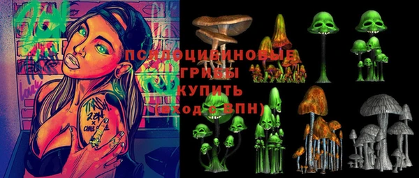 стафф Каменск-Шахтинский