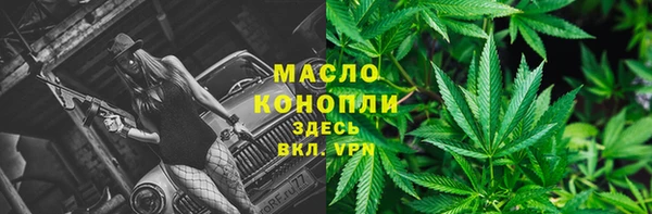 мет Каменка
