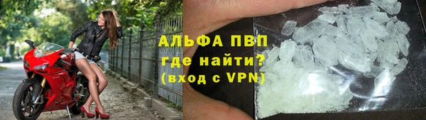 стафф Каменск-Шахтинский