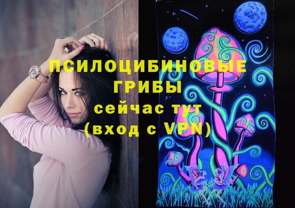 стафф Каменск-Шахтинский