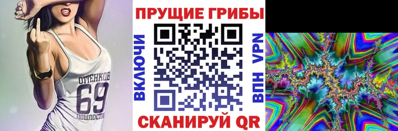 Купить где  Мелеуз  Галлюциногенные грибы Psilocybine cubensis 